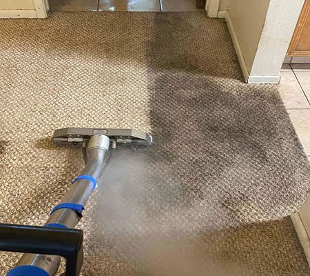 Why You Should Book A Professional Carpet Cleaning London Service