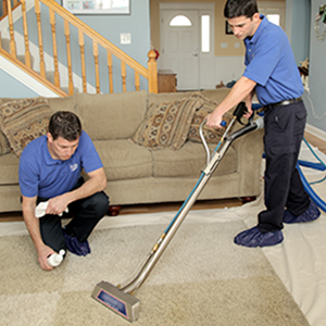Why Hire a Professional Carpet Cleaning Service
